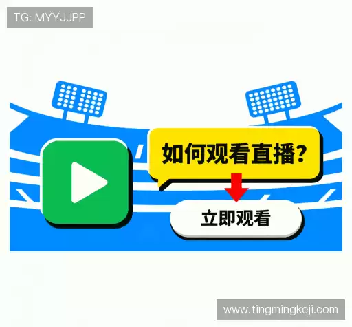 用户指南